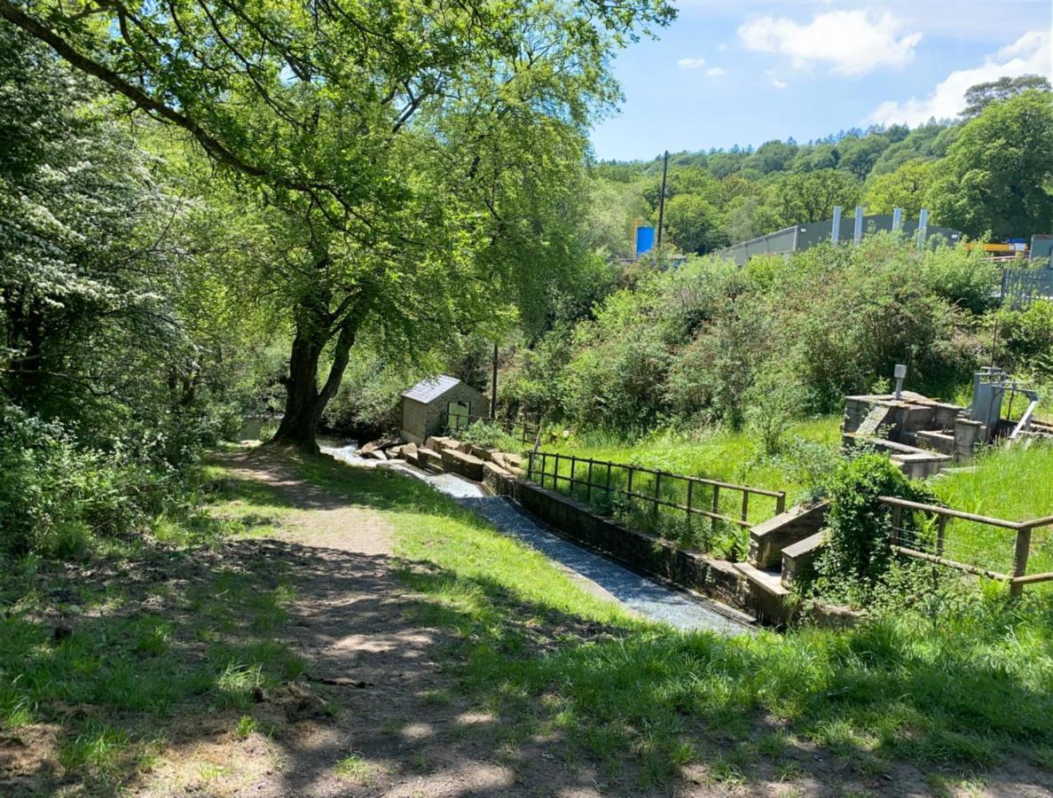 Old Co Op House -Forest Of Dean Bream Bagian luar foto